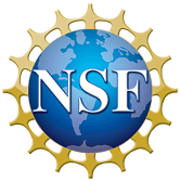NSF logo in color 